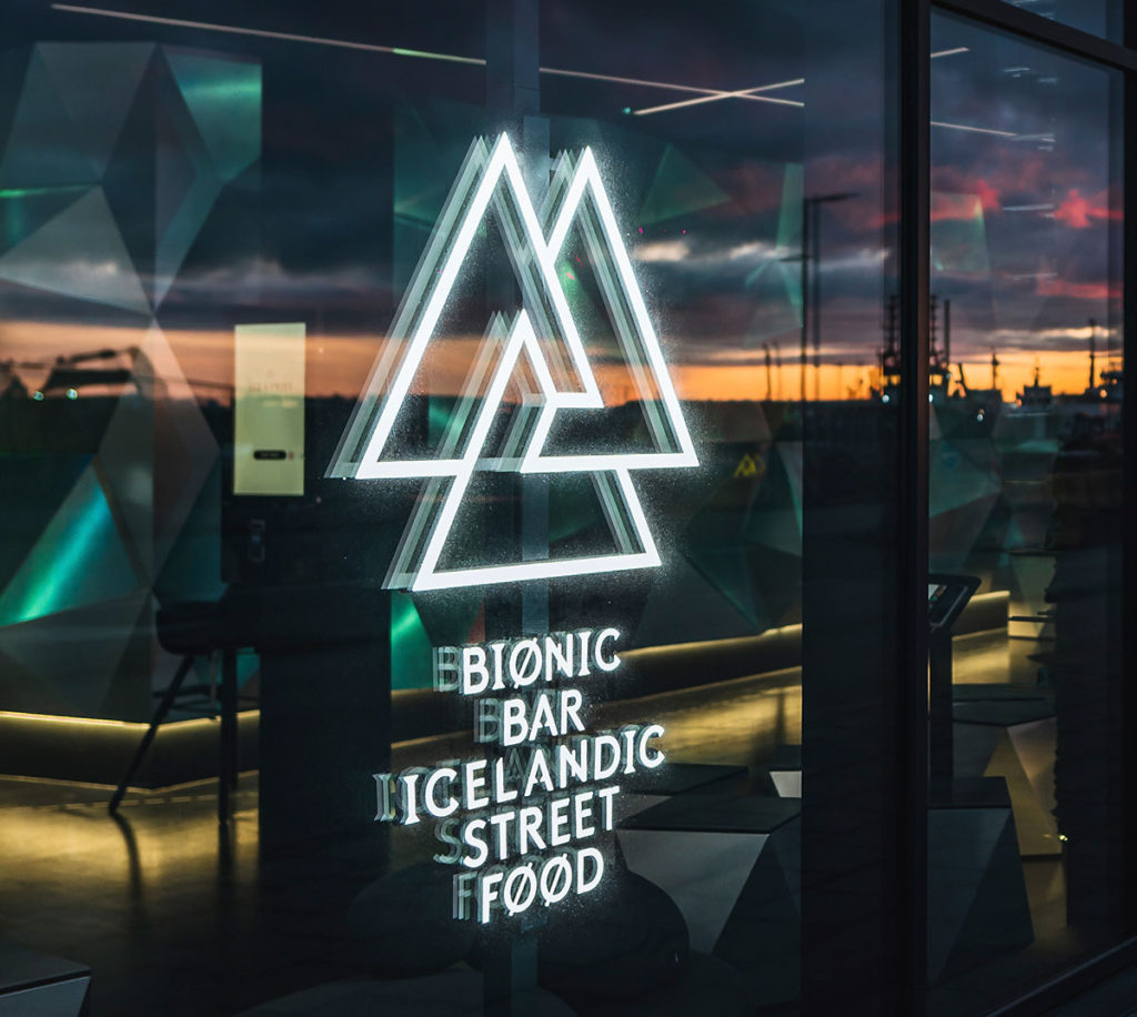 bionic bar iceland islandia ice fries